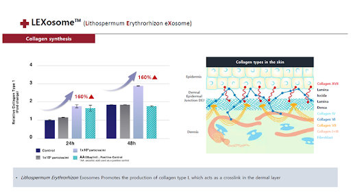 BotanicExo Lexosome Technology