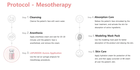 Lapuroon Aurora-S Mesotherapy Protocol